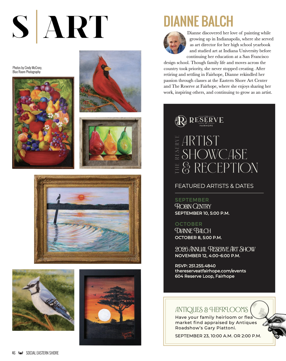 S|ART feature on artist Dianne Balch