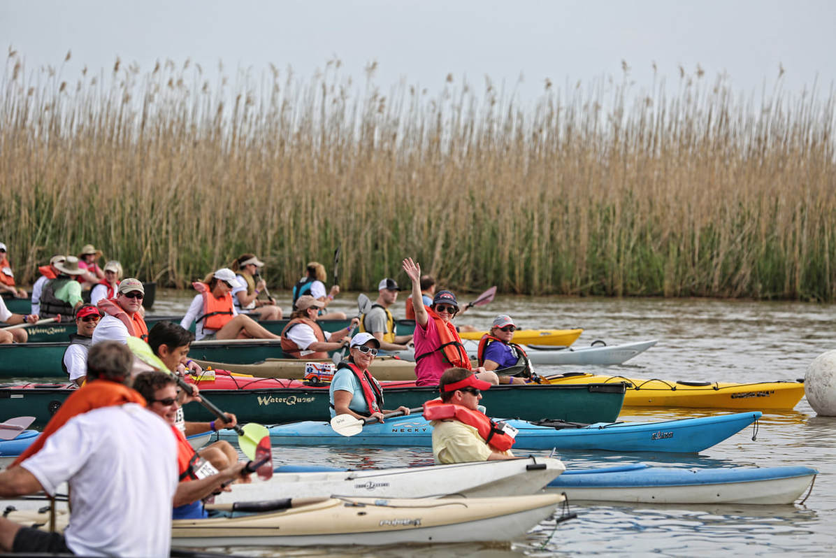 Paddlers lining up for the Mobile Bar Association kayak race
